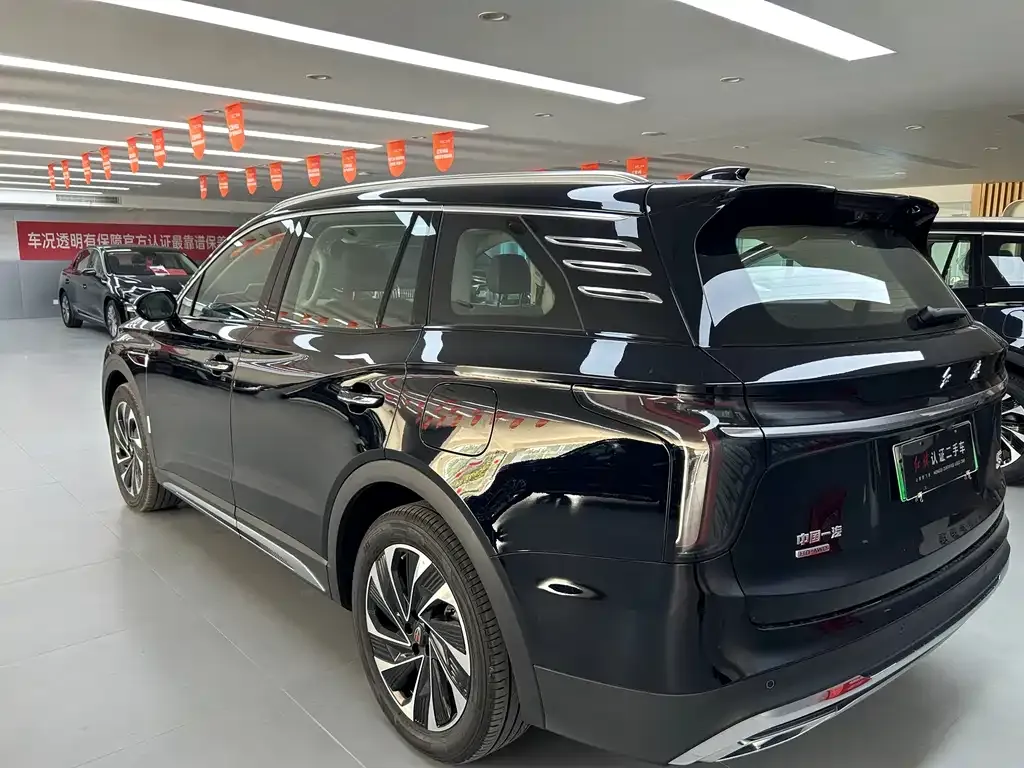 Hongqi HS7 PHEV 2024 из CN, фото 6
