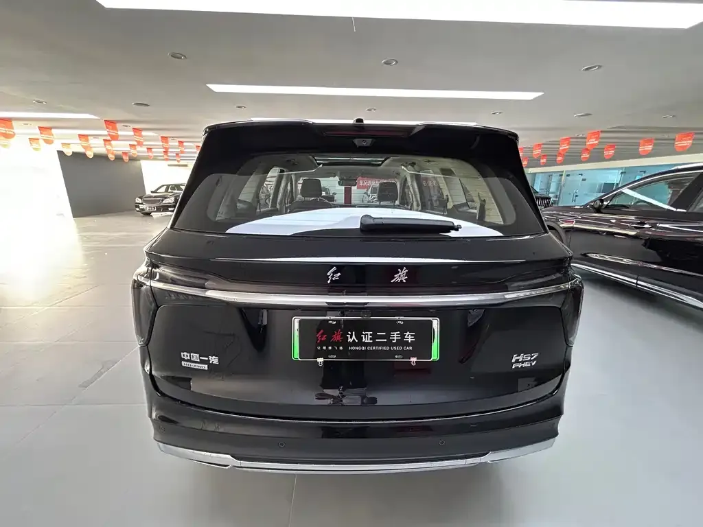 Hongqi HS7 PHEV 2024 из CN, фото 2
