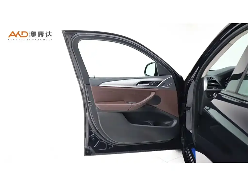 BMW X4 2021 из CN, фото 5