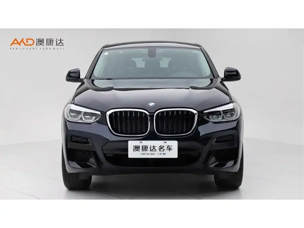 BMW X4 2021 из CN, фото 10