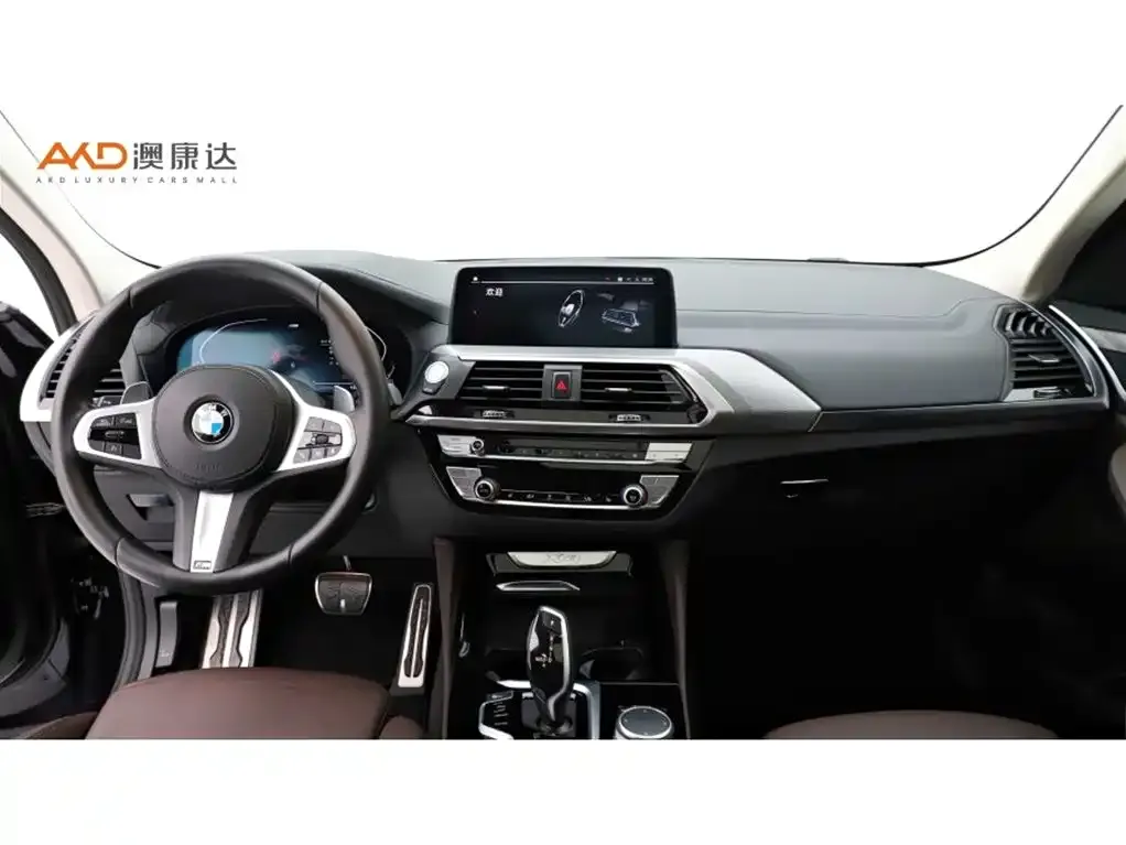 BMW X4 2021 из CN, фото 6