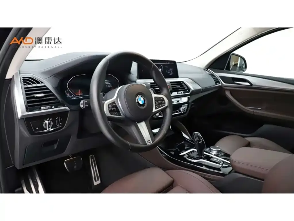 BMW X4 2021 из CN, фото 4