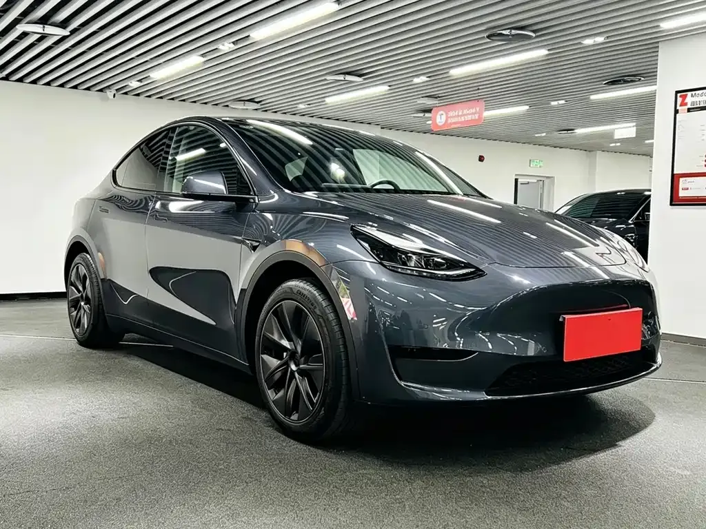 Tesla Model Y — фото 8