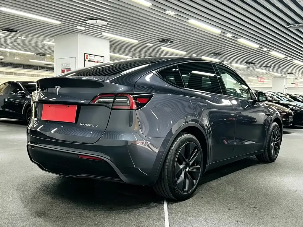 Tesla Model Y — фото 5