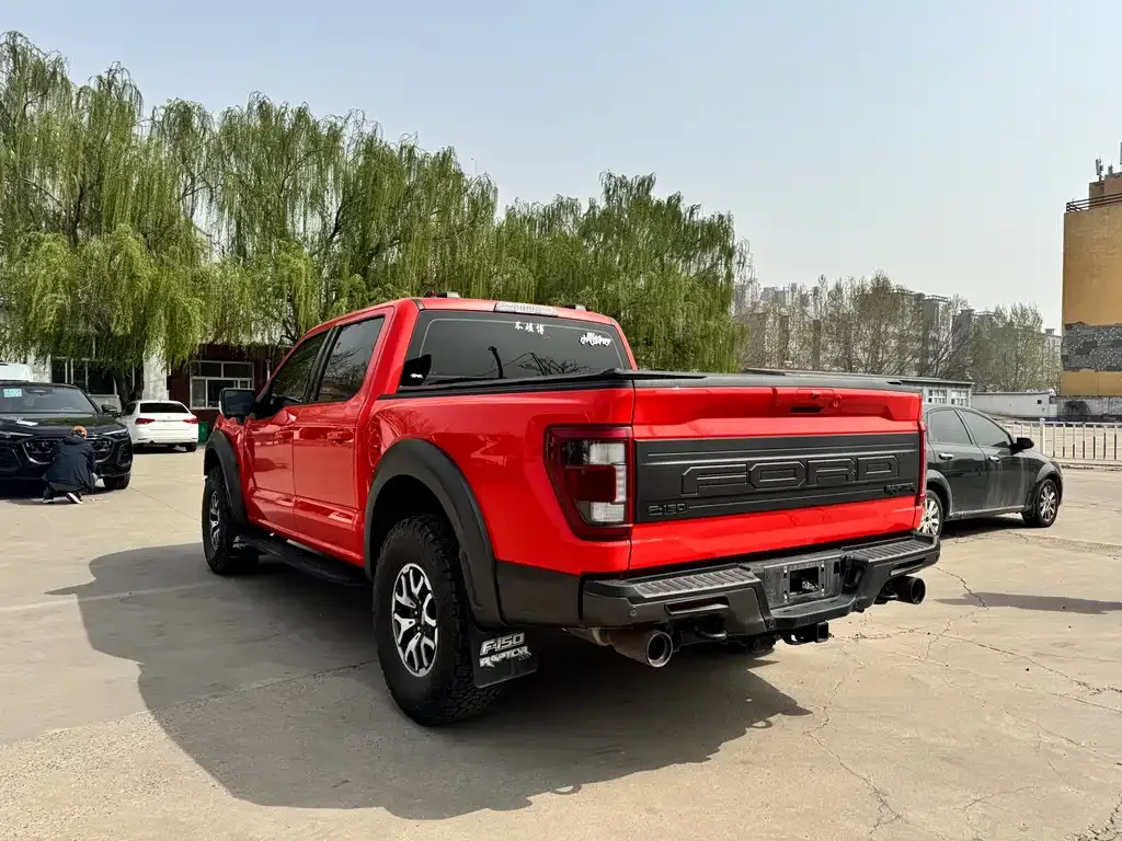 Ford F-150 Raptor 2022 из CN, фото 10