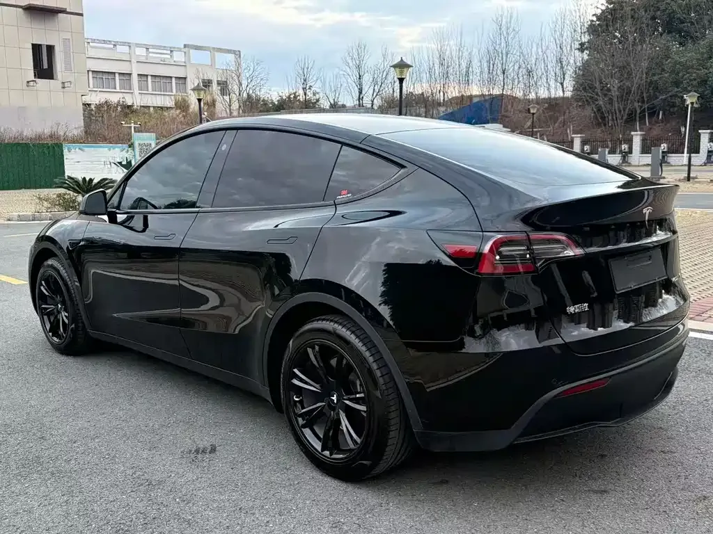Tesla Model Y — фото 10