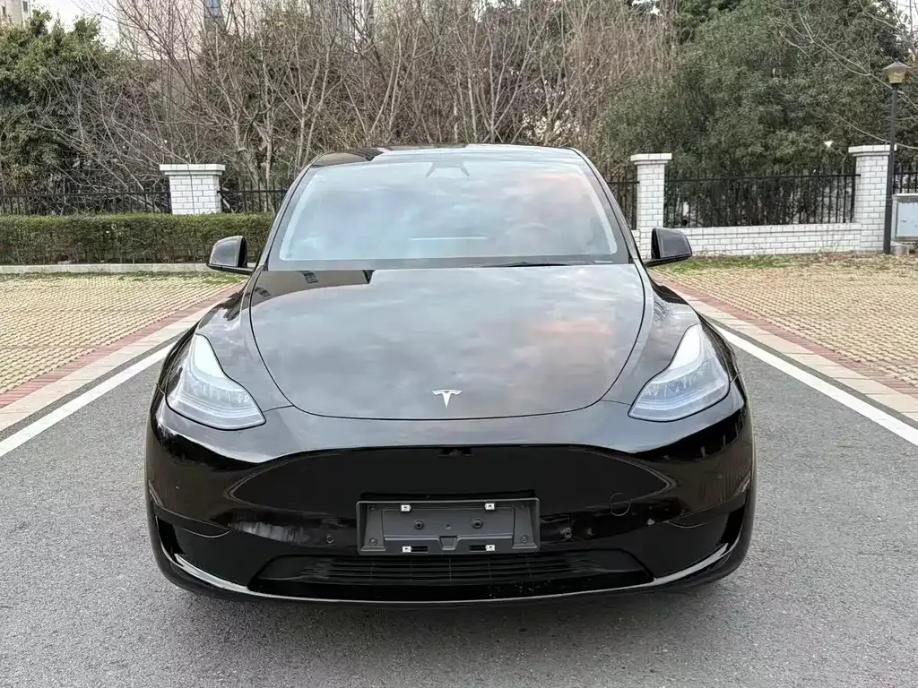 Tesla Model Y — фото 9