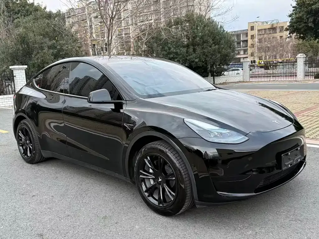 Tesla Model Y — фото 8