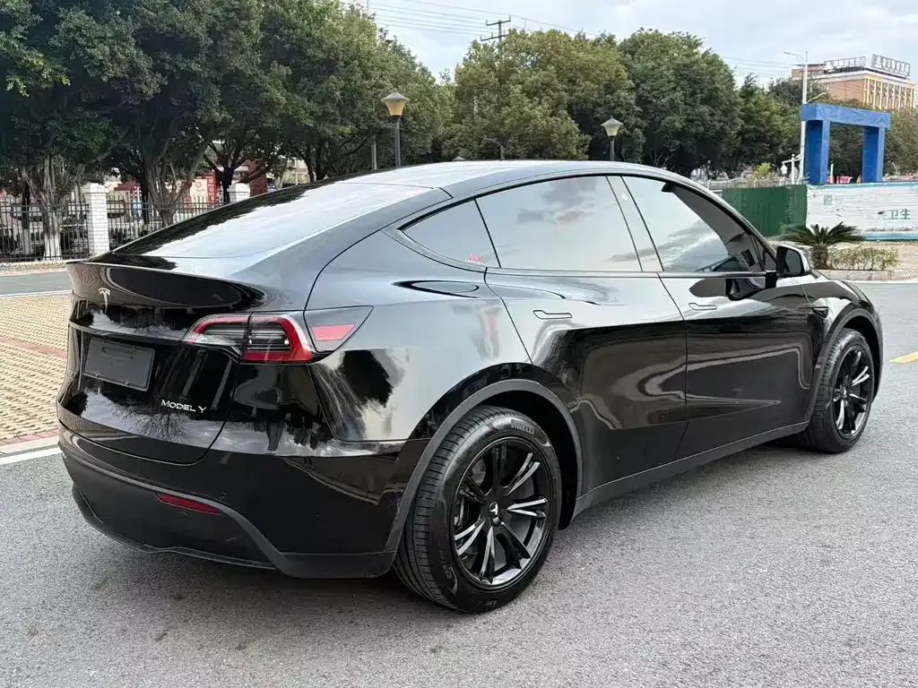 Tesla Model Y — фото 6