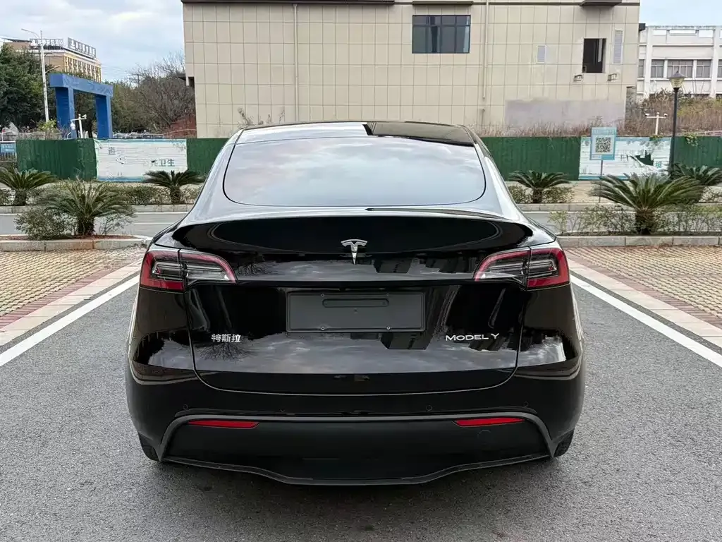 Tesla Model Y — фото 5