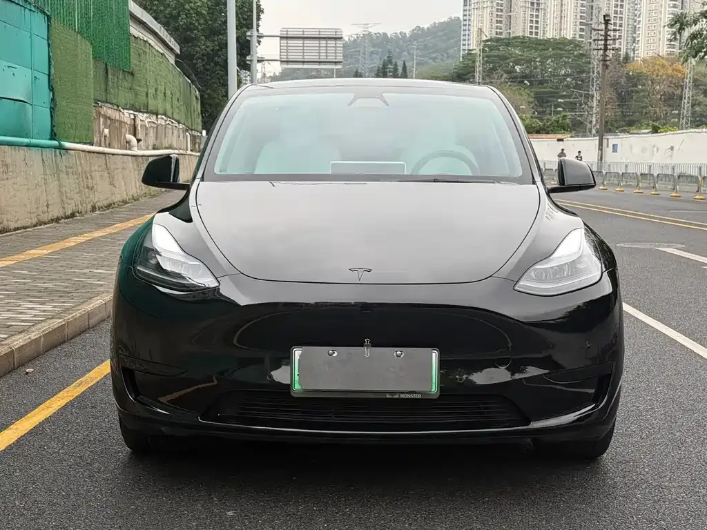 Tesla Model Y — фото 7
