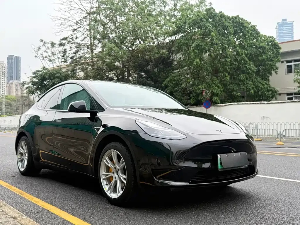 Tesla Model Y — фото 10