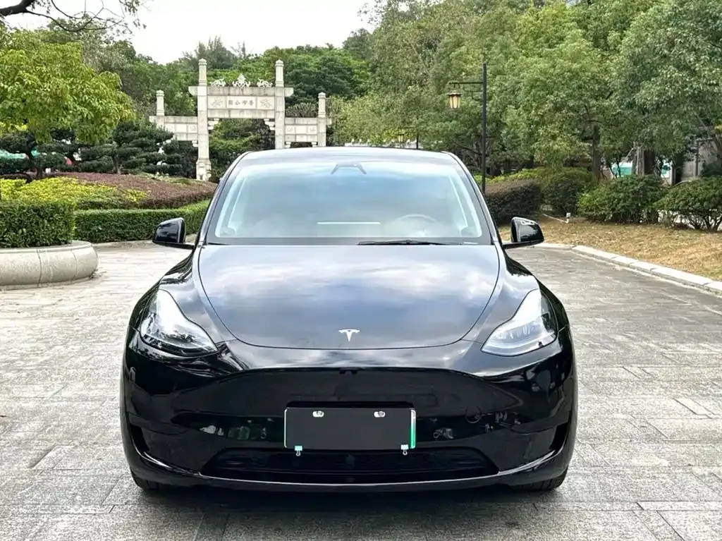 Tesla Model Y 2023 из CN, фото 9