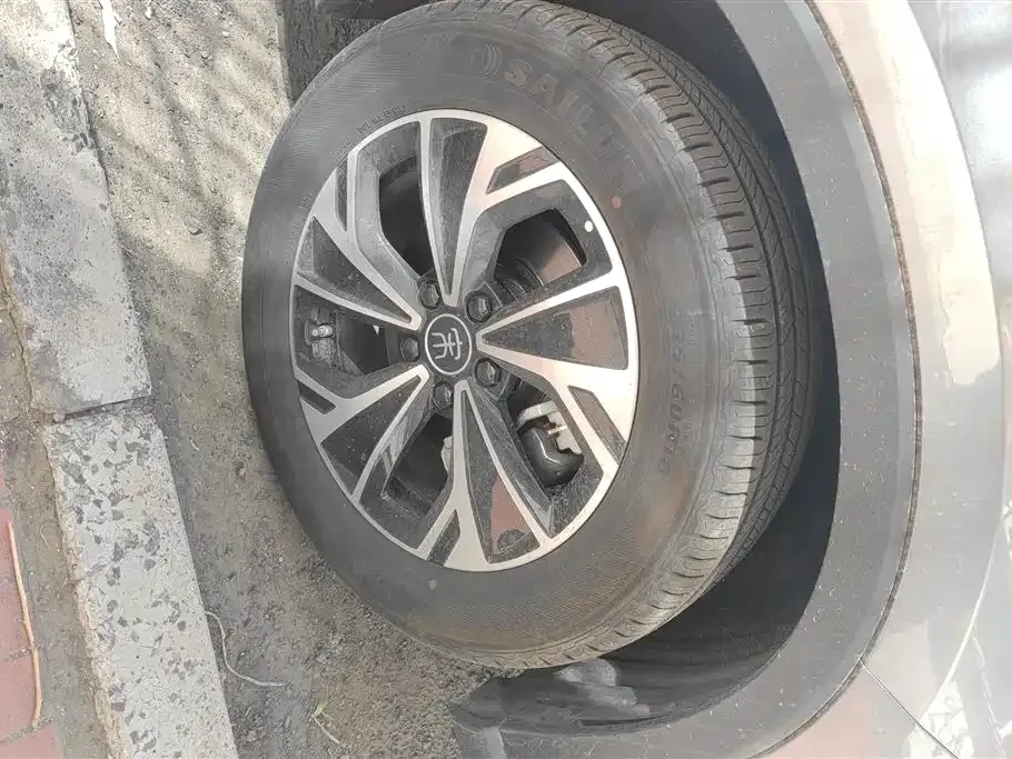 BYD Pro New Energy — фото 4