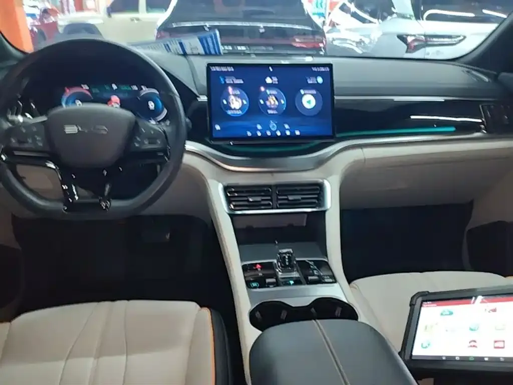 BYD PLUS New Energy 2024 из CN, фото 8