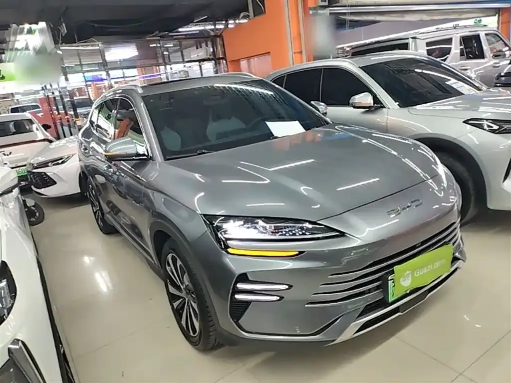 BYD PLUS New Energy 2024 из CN, фото 10