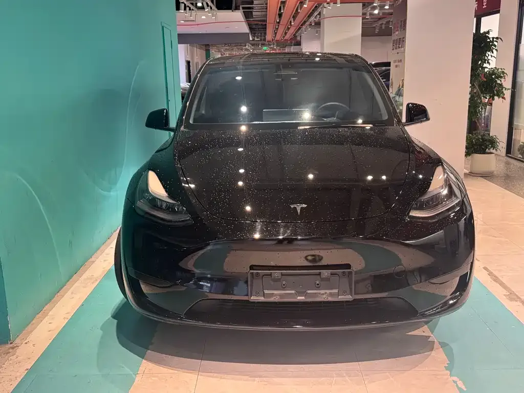 Tesla Model Y — фото 7