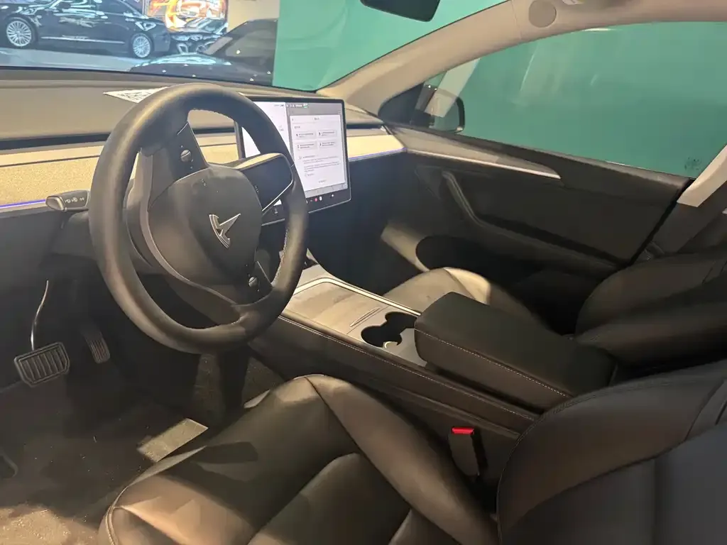 Tesla Model Y — фото 9