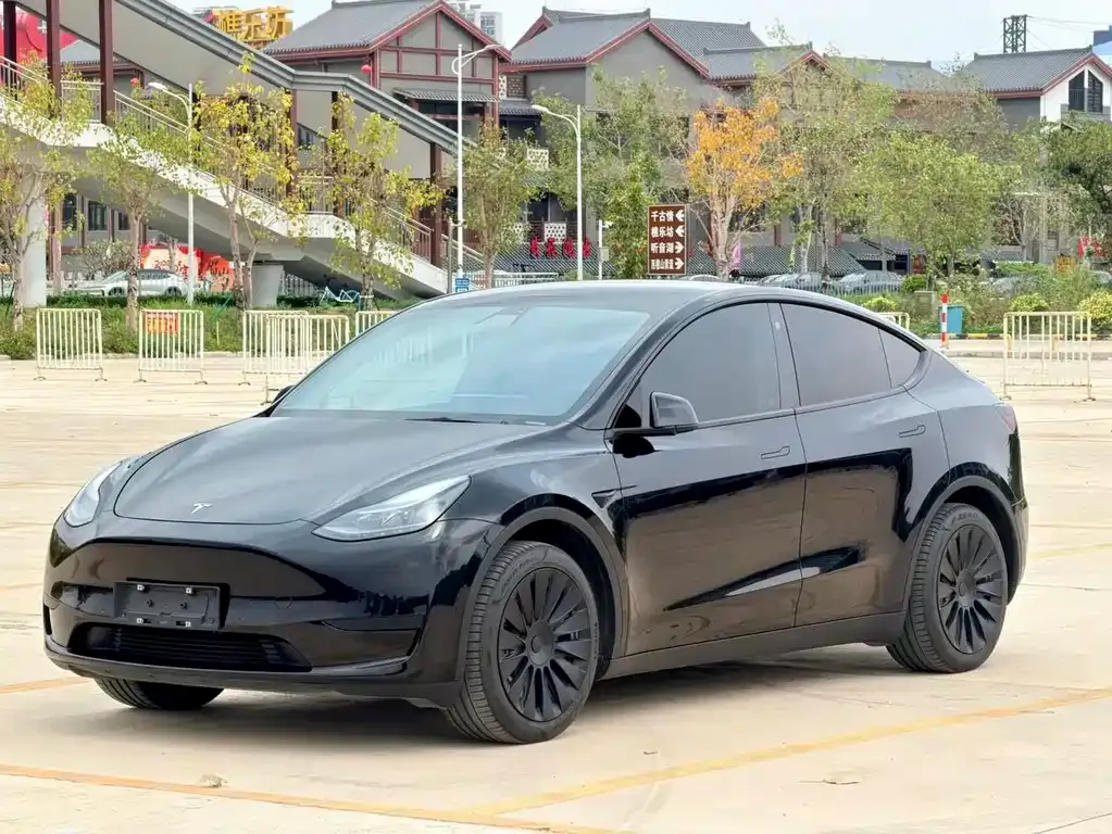Tesla Model Y 2023 из CN, фото 1