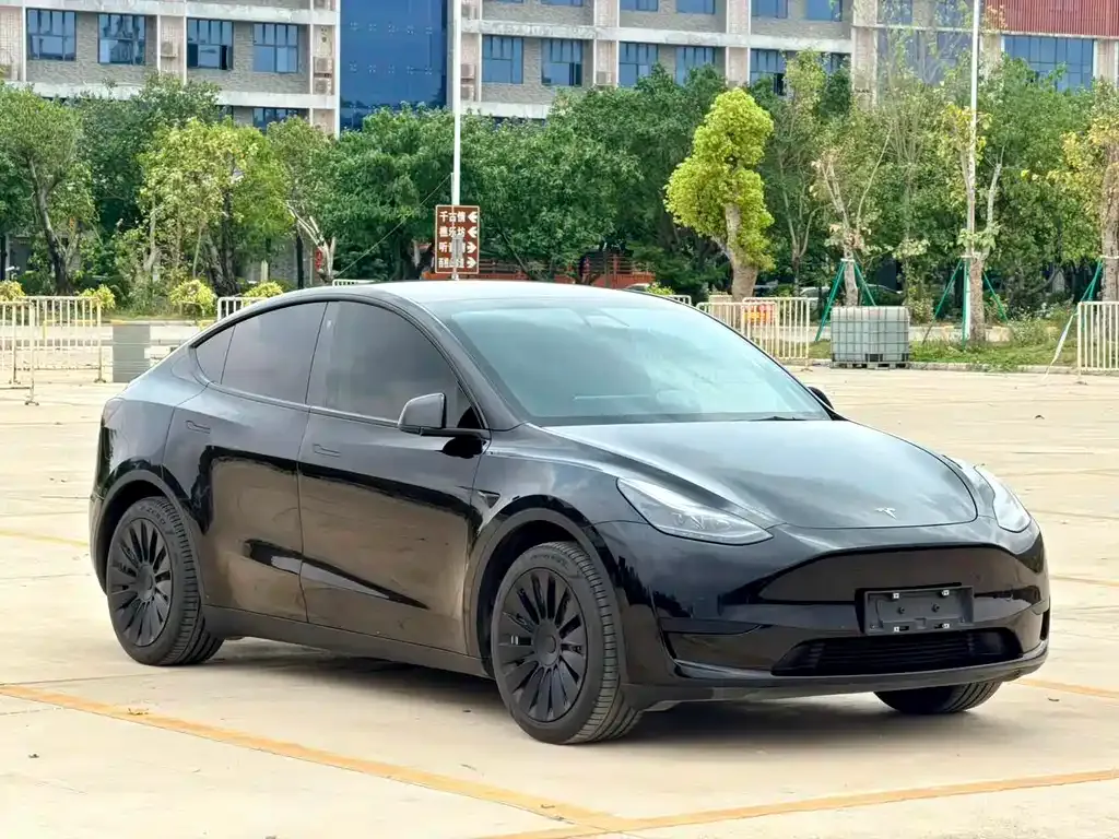 Tesla Model Y 2023 из CN, фото 9