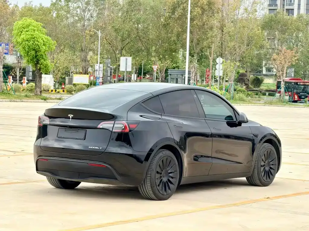 Tesla Model Y 2023 из CN, фото 8
