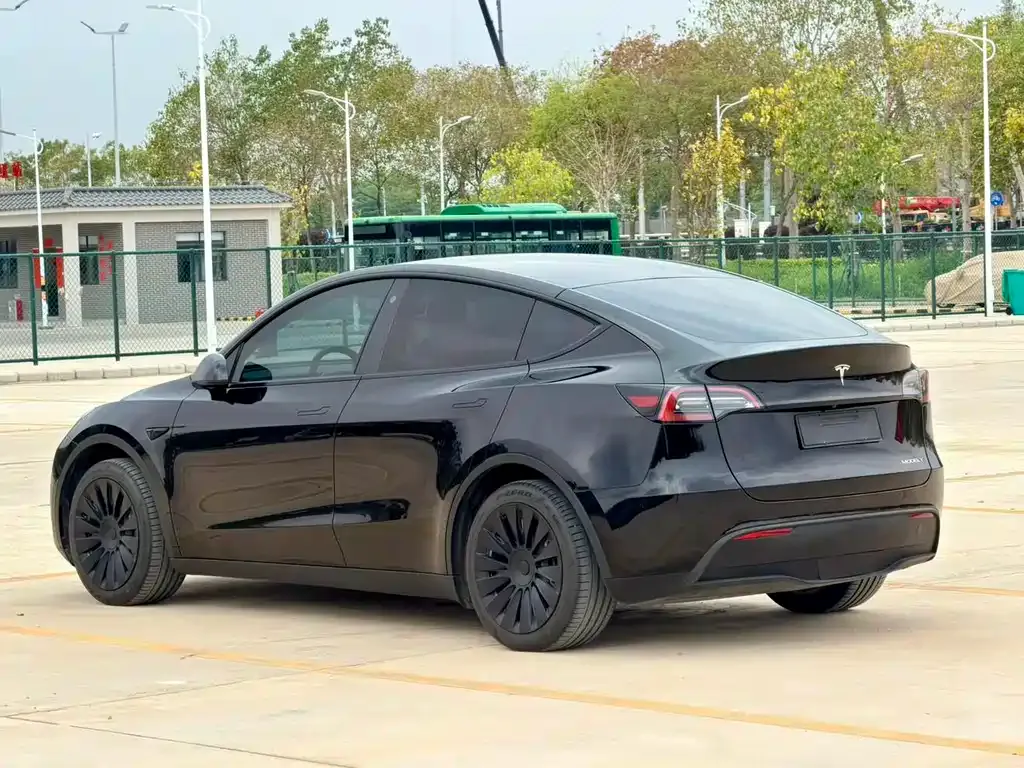 Tesla Model Y 2023 из CN, фото 6