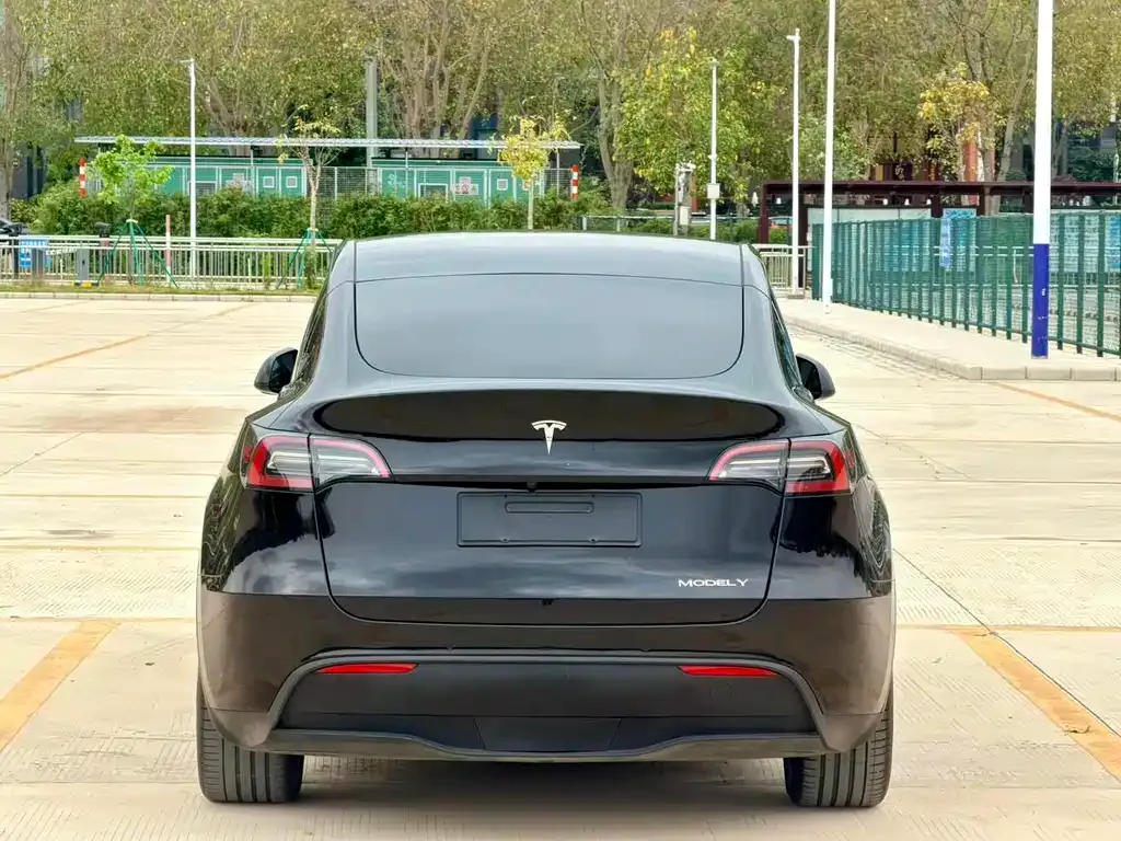 Tesla Model Y 2023 из CN, фото 10