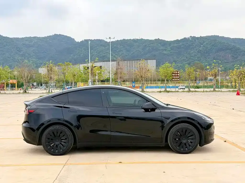 Tesla Model Y 2023 из CN, фото 3
