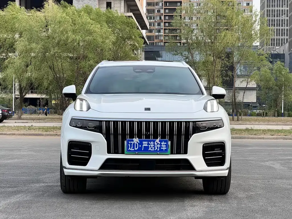 Lynk & Co 09 PHEV 2022 из CN, фото 7
