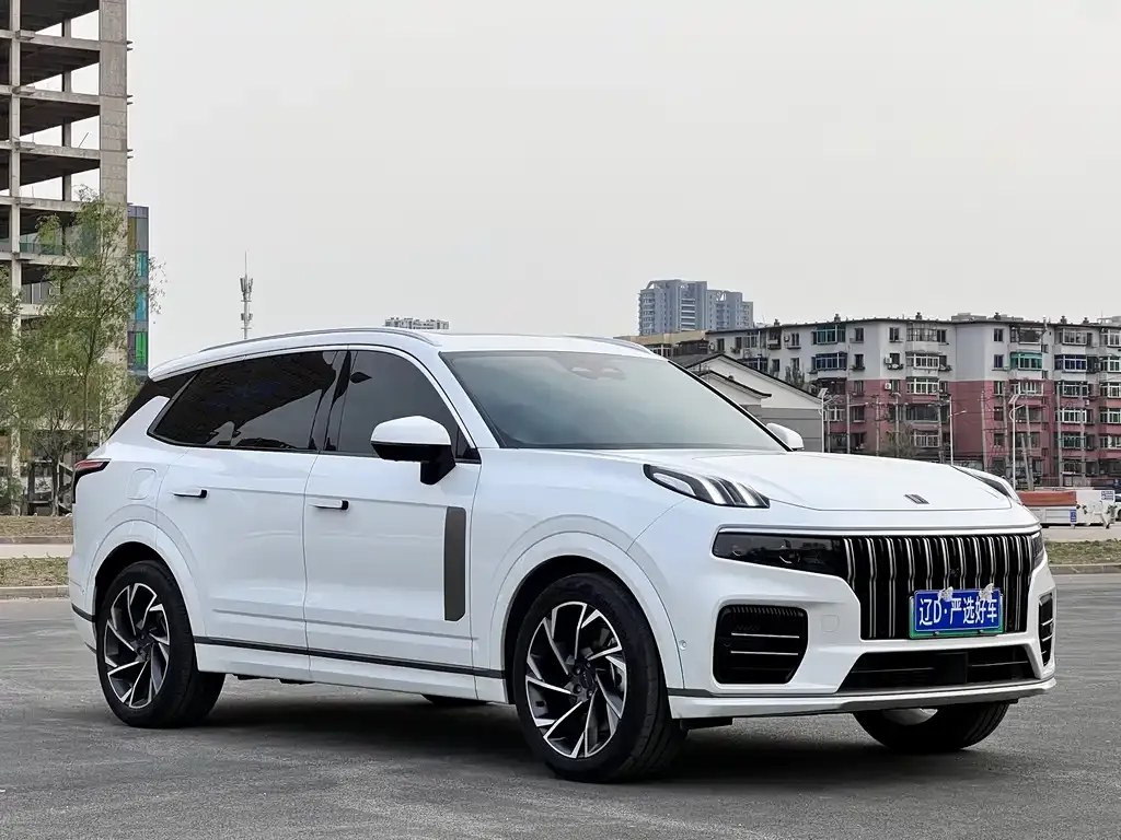 Lynk & Co 09 PHEV 2022 из CN, фото 2