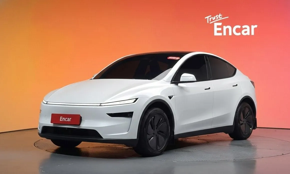 Tesla Model Y — фото 1