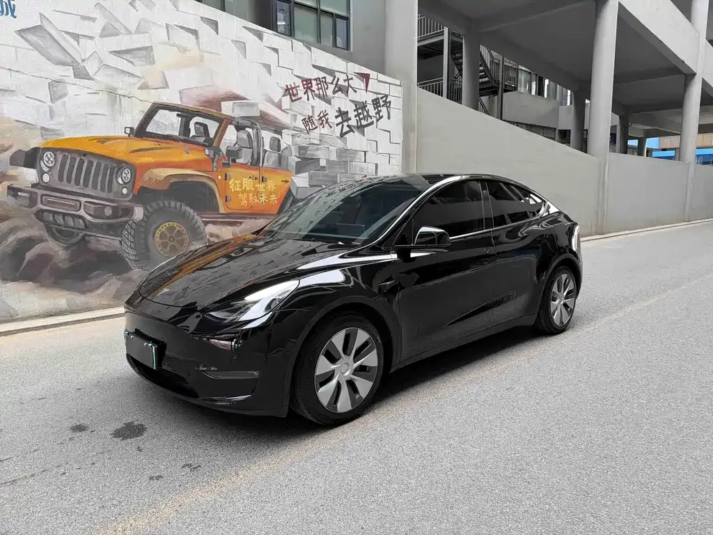 Tesla Model Y — фото 1