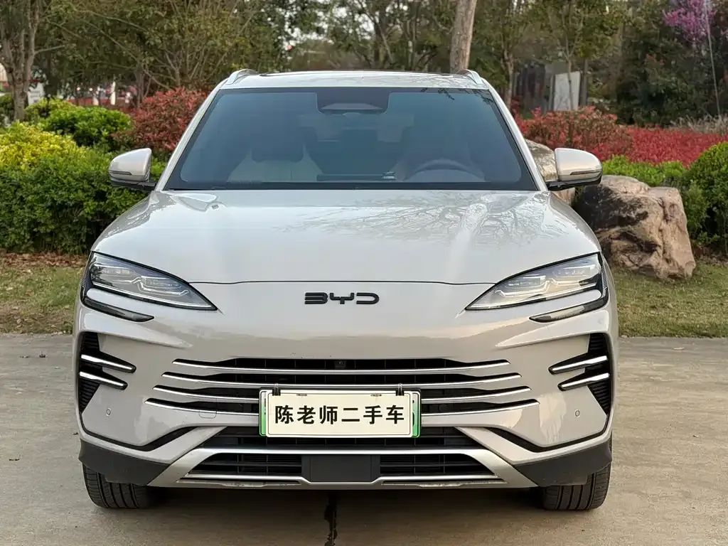 BYD PLUS New Energy — фото 9