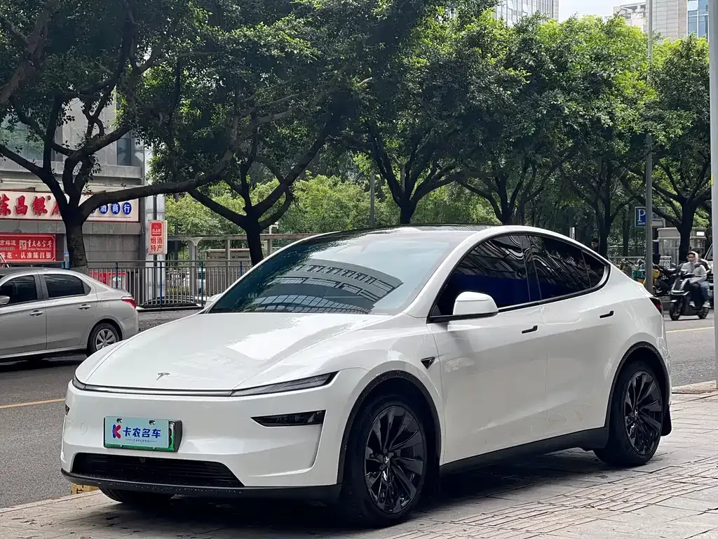 Tesla Model Y — фото 1