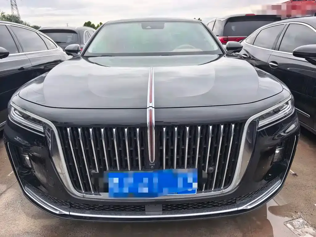 Hongqi H9 2021 из CN, фото 9