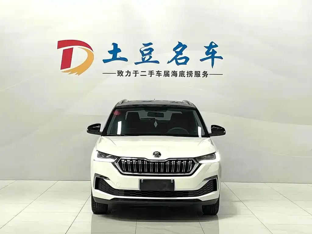 Skoda Kamiq 2022 из CN, фото 3