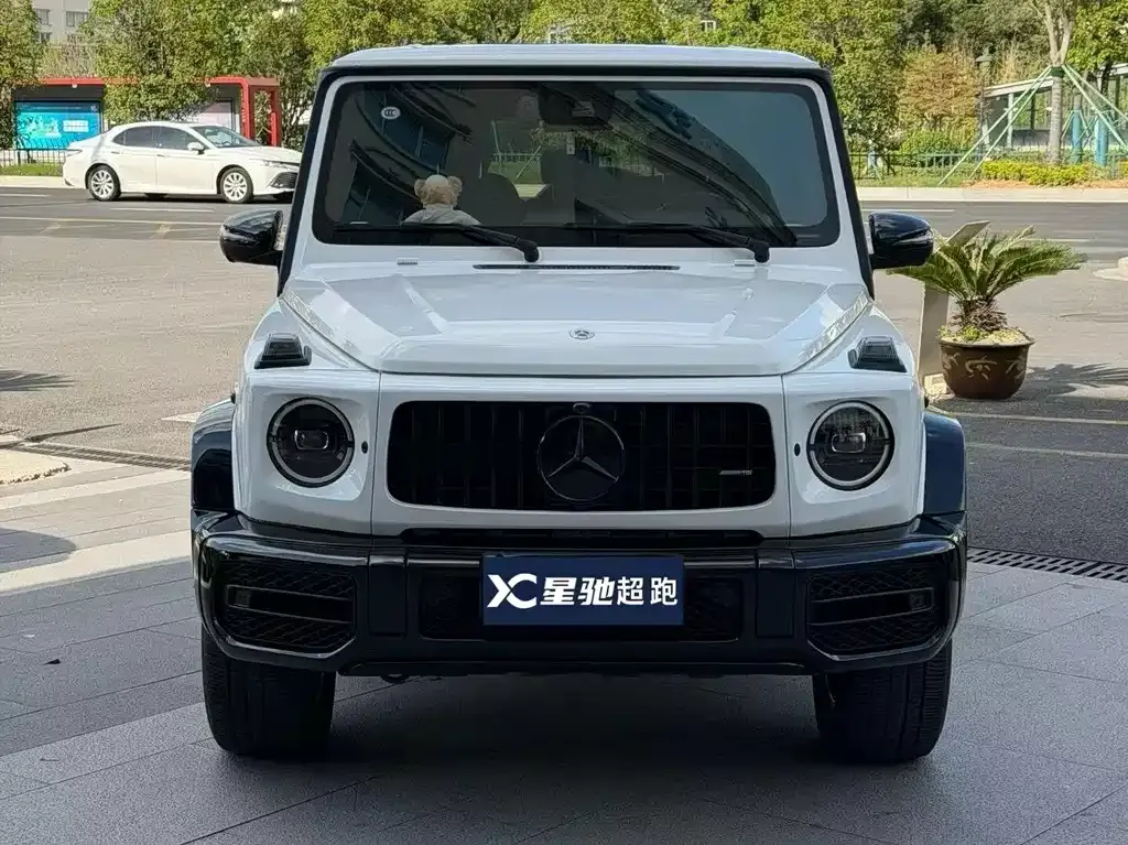 Mercedes-Benz G-Class 2021 из CN, фото 9