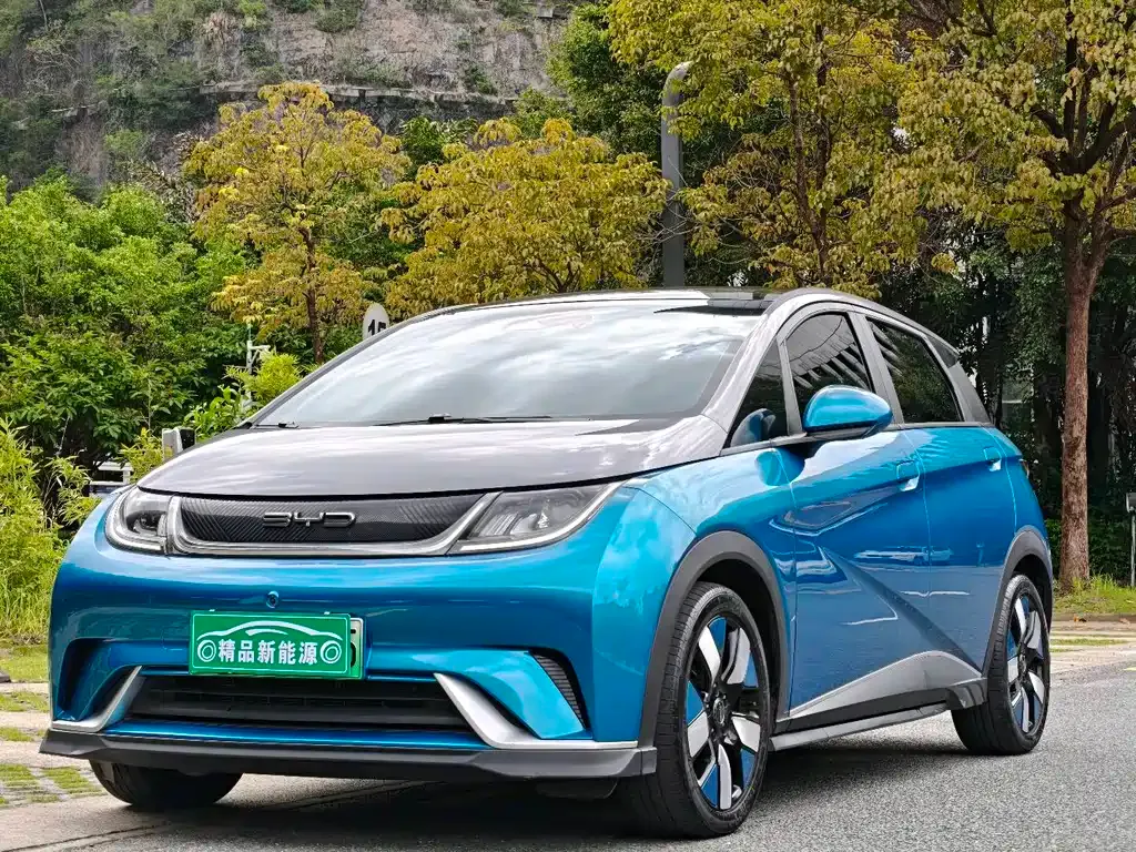 BYD Dolphin 2023 из CN, фото 1