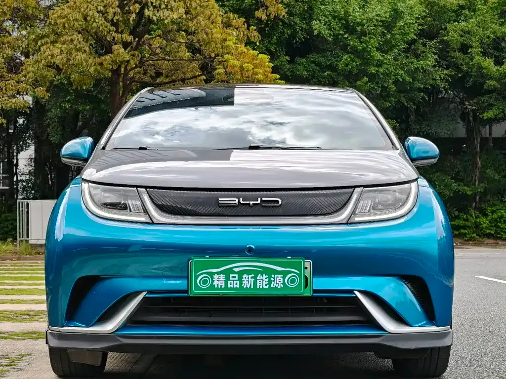 BYD Dolphin 2023 из CN, фото 9