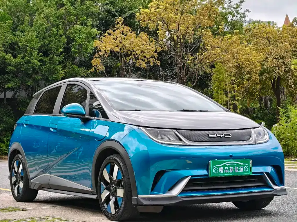 BYD Dolphin 2023 из CN, фото 10
