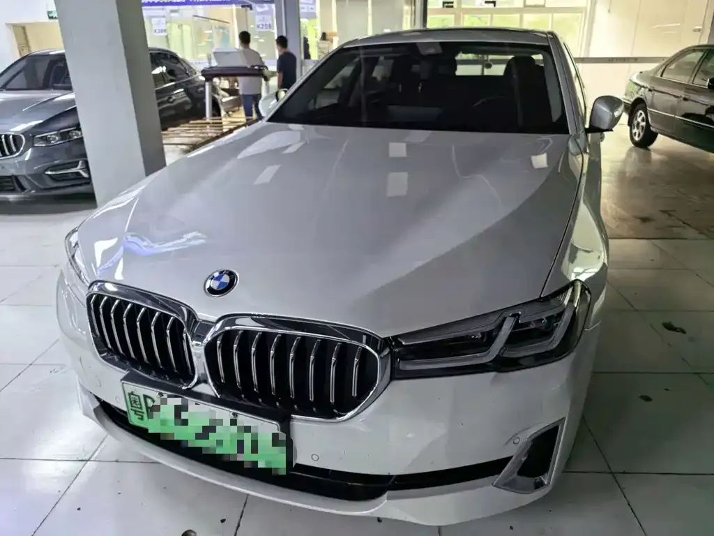 BMW 5 Series New Energy