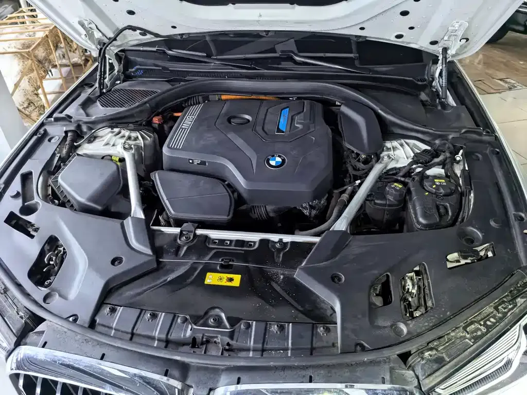 BMW 5 Series New Energy 2021 из CN, фото 2