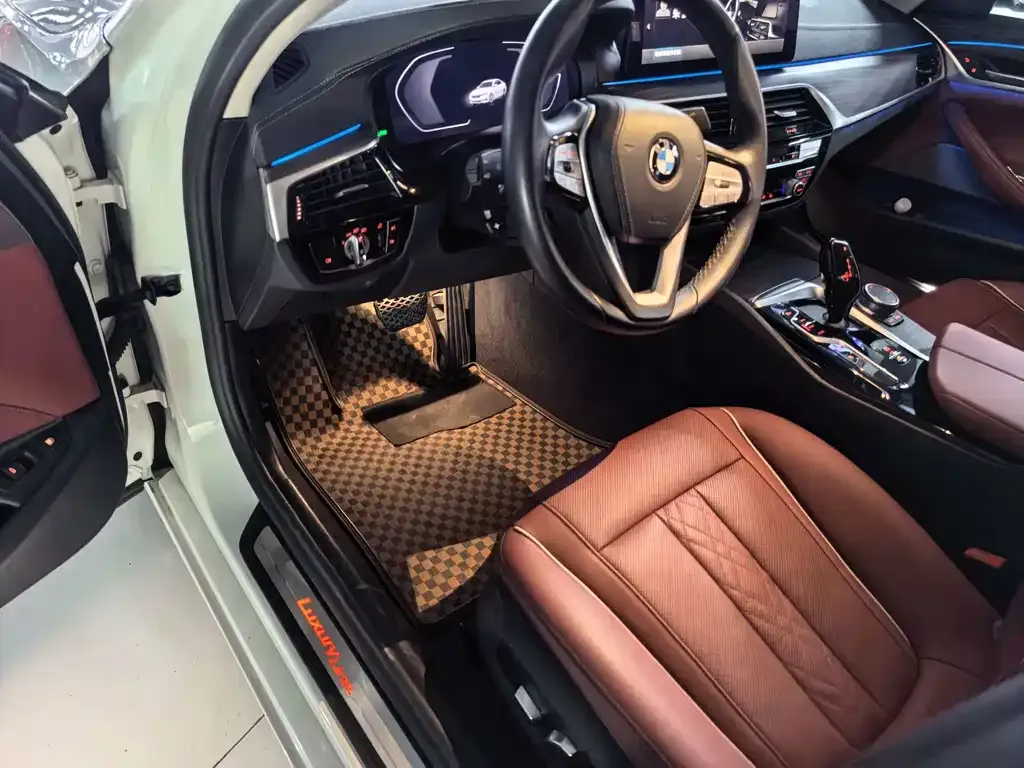 BMW 5 Series New Energy 2021 из CN, фото 5