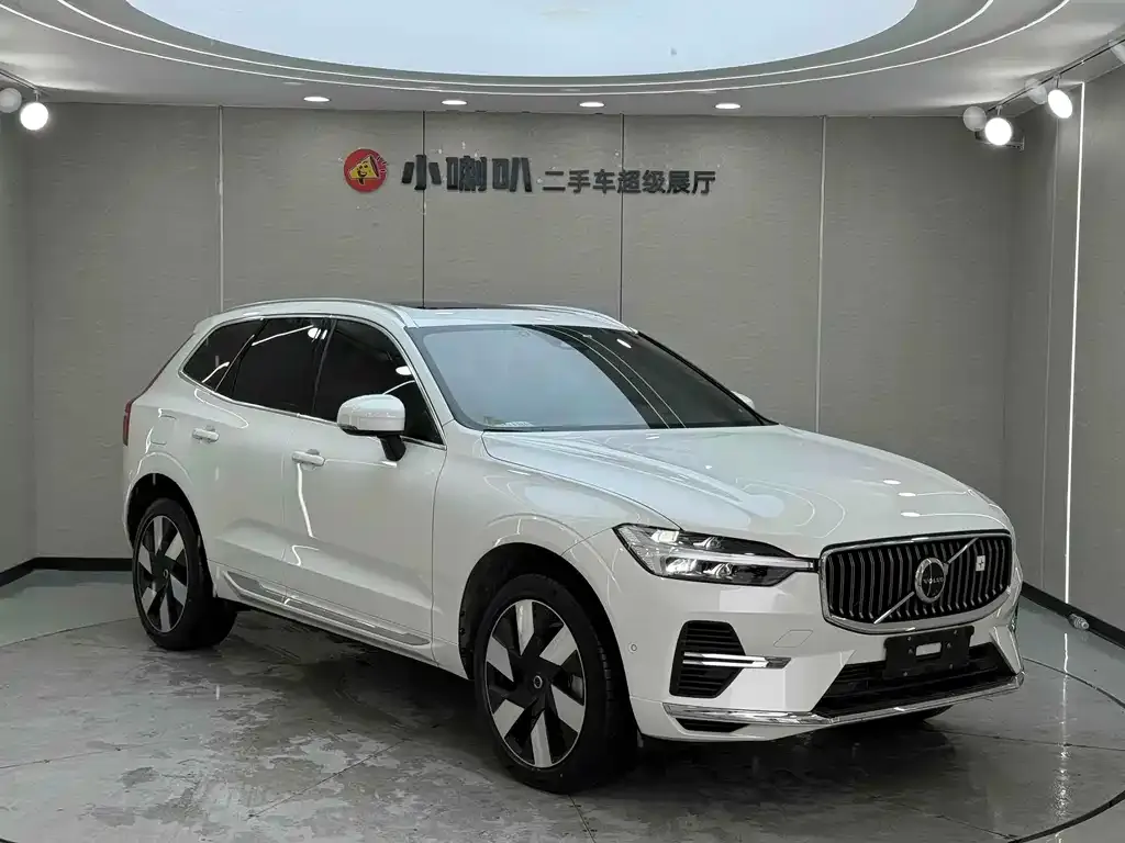 Volvo XC60 PHEV 2024 из CN, фото 10