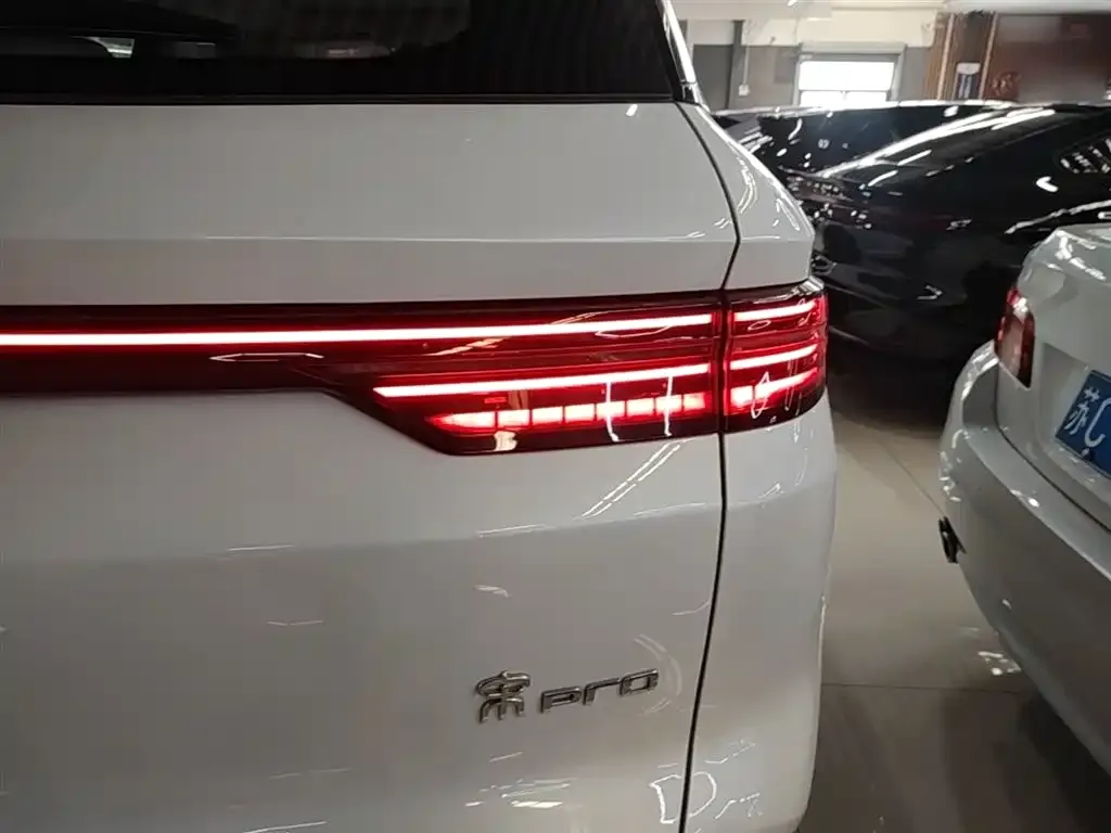BYD Pro New Energy — фото 4