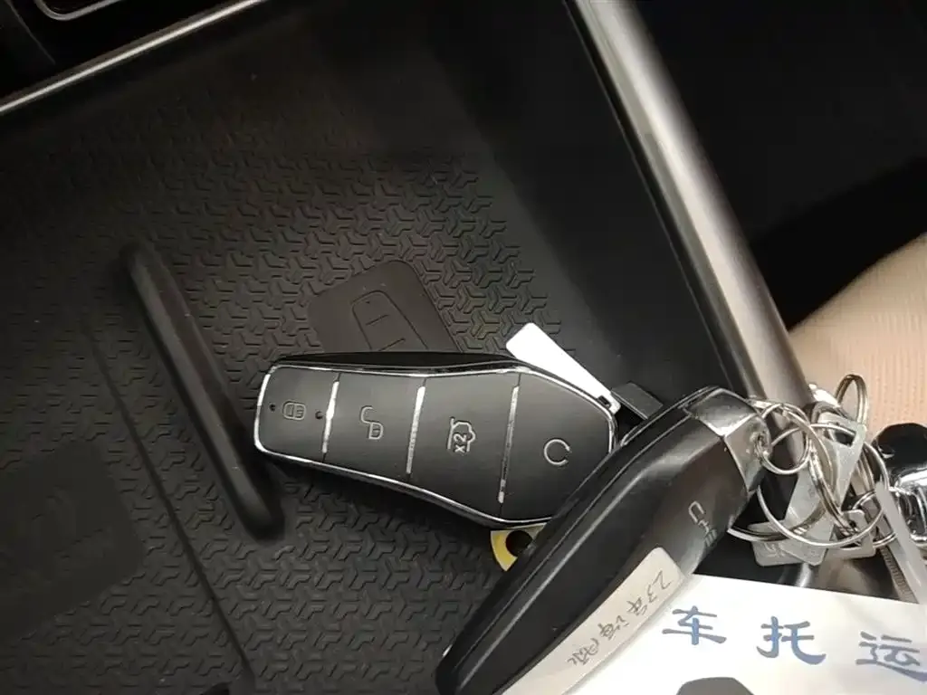 BYD Pro New Energy — фото 5