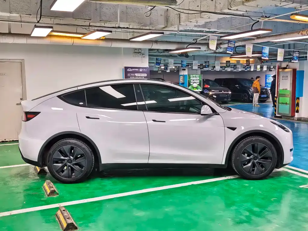 Tesla Model Y — фото 10