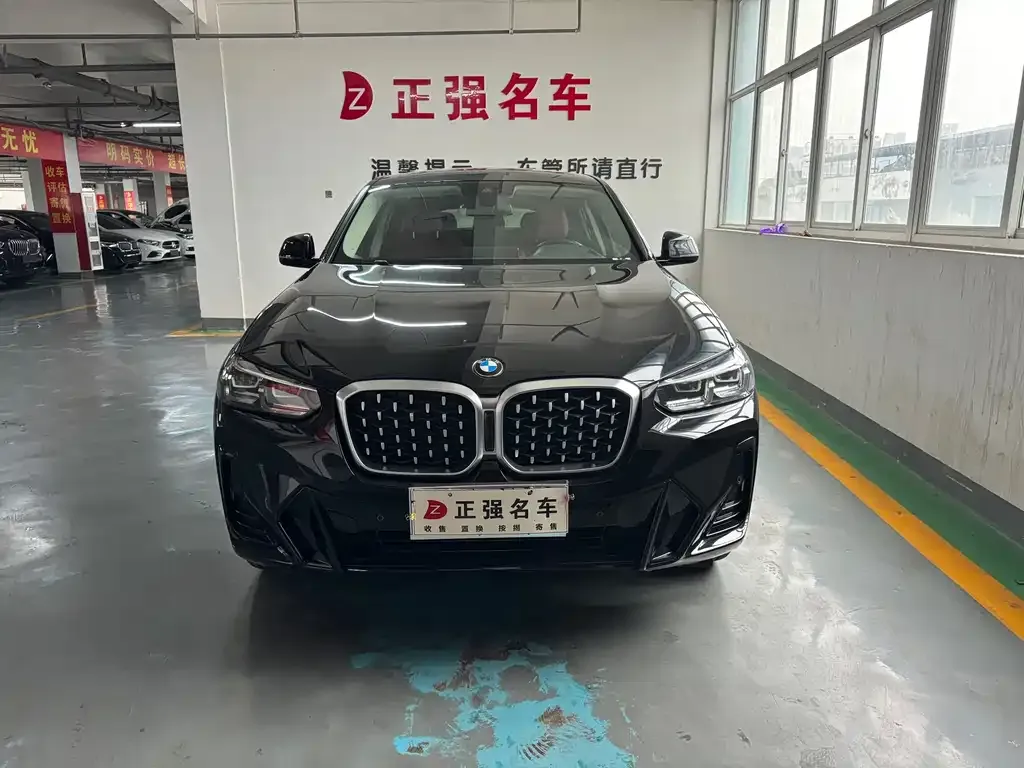BMW X4 2022 из CN, фото 3