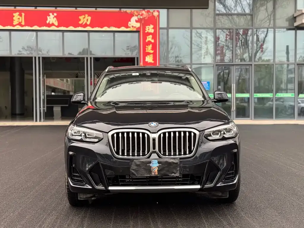 BMW X3 2021 из CN, фото 9