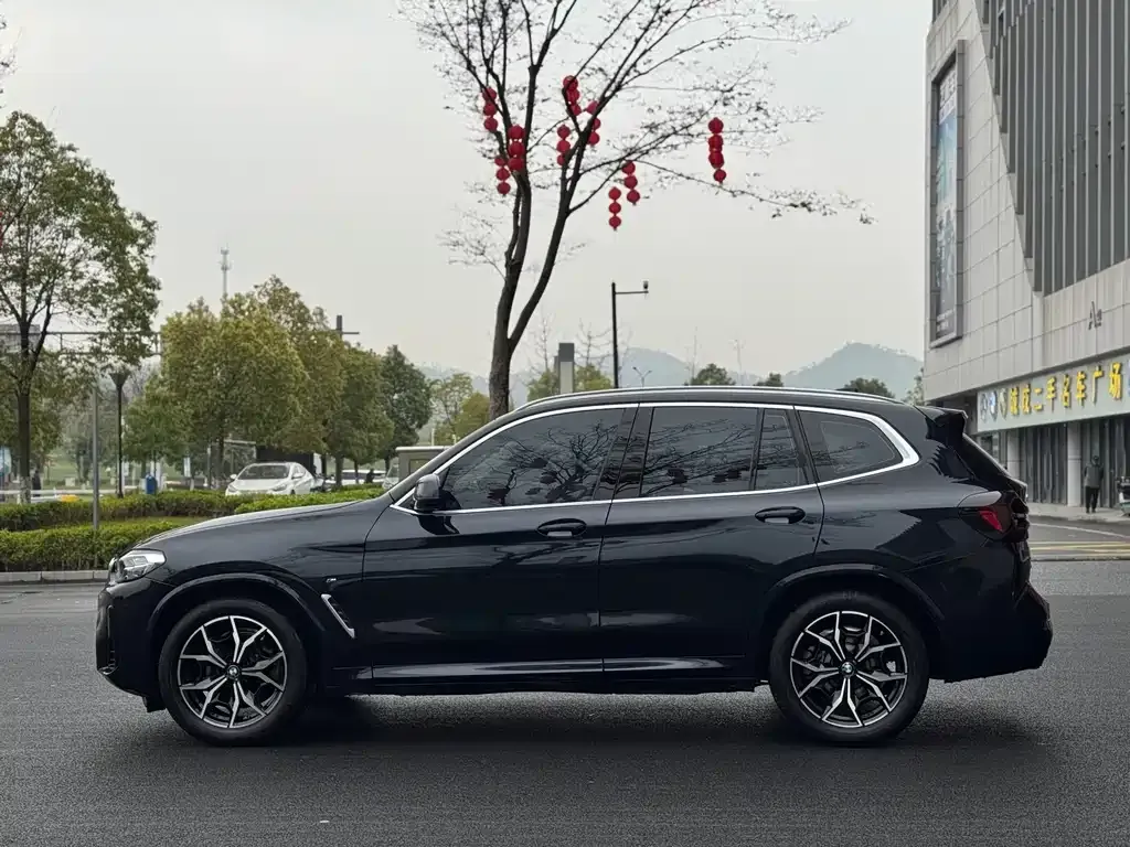 BMW X3 2021 из CN, фото 6